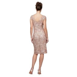 Womens Short Knee Length Floral Embroidered Cocktail Sheath, Wedding Guest Dress, (Petite and Regular Sizes)