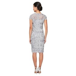 Women's Short Embroidered Cocktail Dress, Wedding Guest (Petite and Regular Sizes)