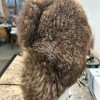 Beaver Trapper Hat