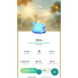 Shiny Ditto Wearing a Hat or Cap - TRA'DE 20k dust GO - Description