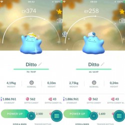 Shiny Ditto Wearing a Hat or Cap - TRA'DE 20k dust GO - Description