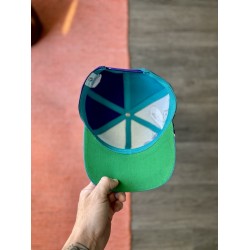 VINTAGE 90s CHARLOTTE HORNETS TWINS BIG LOGO NBA SNAPBACK HAT CAP RARE RESHAPED