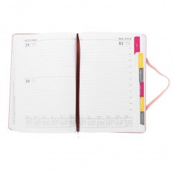 Yearly Schedule Notepad Daily Planning Notebook Students Schedule Planner